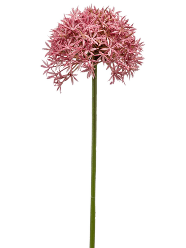 
                  
                    Allium artificiel rose de 62 cm, ombelle dense et arrondie sur tige verte, sans vase
                  
                