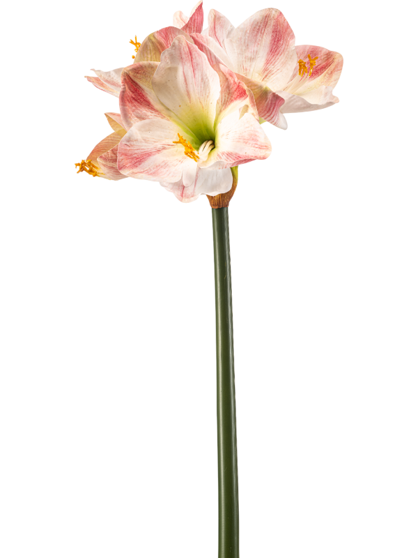 Amaryllis artificielle rose Pink RT, grandes fleurs crème striées de rose sur tige verte de 62 cm