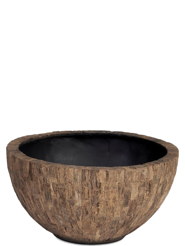 Coupe Plantinum Bosco Bowl Cemani, hauteur 22 cm, diamètre 43 cm — 6BOSA3102