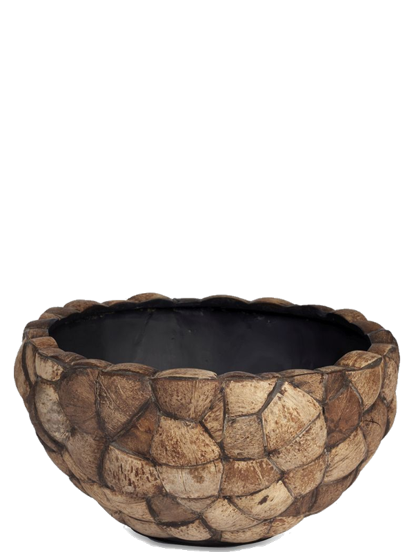 
                  
                    Coupe Plantinum Bosco Bowl Coconut, hauteur 22 cm, diamètre 43 cm — 6BOSA3122
                  
                