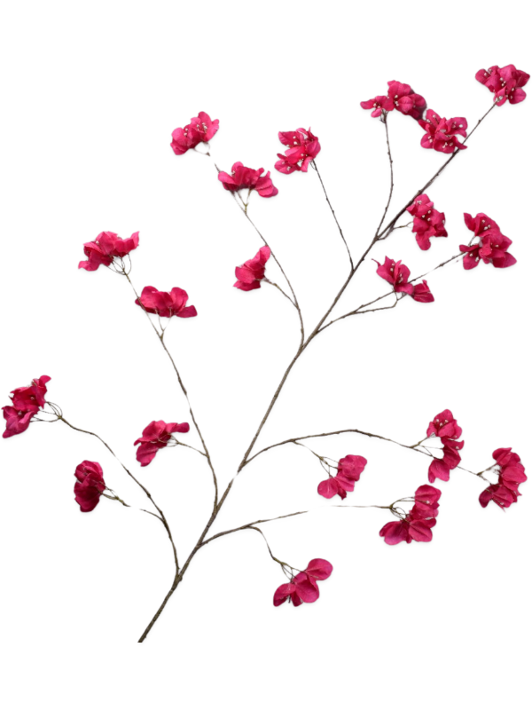 
                  
                    Branche de bougainvillier artificielle Beauty Silk-ka de 120 cm, floraison rose fuchsia sur des rameaux fins
                  
                