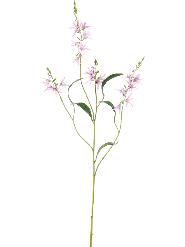 
                  
                    Camassia artificiel lavande de 101 cm, fleurs étoilées et feuilles vertes sur tige ramifiée
                  
                