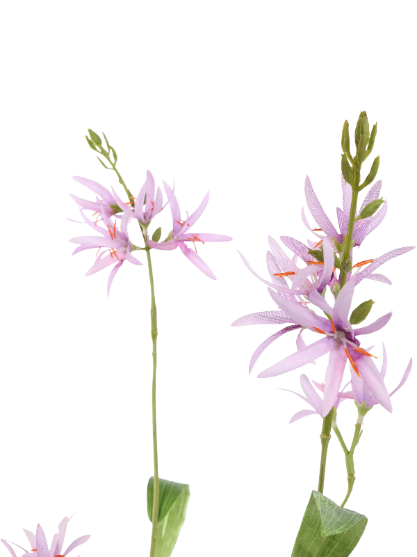 
                  
                    Camassia artificiel lavande de 75 cm, fleurs étoilées et feuilles vertes sur tige ramifiée
                  
                