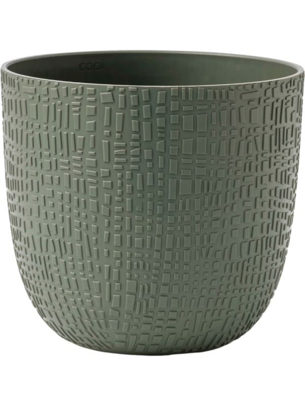
                  
                    Pot Capi Made With Skin Herbe Verte H15 Ø17 cm — 6CAPBSK26
                  
                