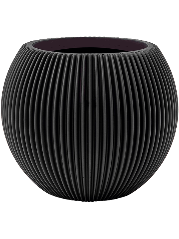 
                  
                    Pot Capi Noir Intense H10 Ø12 – 6CAPGB109 – NATURA
                  
                