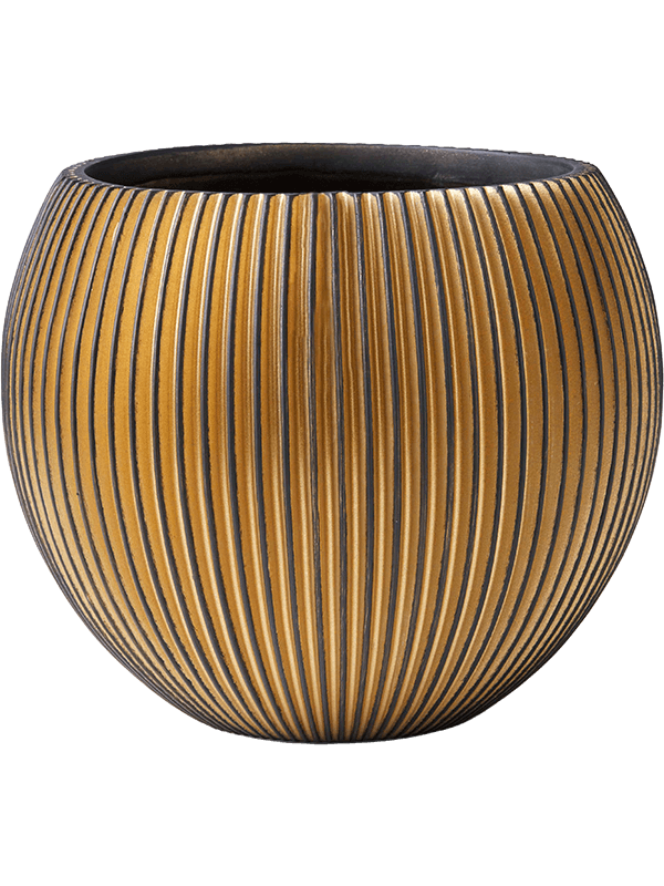 
                  
                    Pot Capi Noir Or H26 Ø29 – 6CAPGG104 – NATURA
                  
                