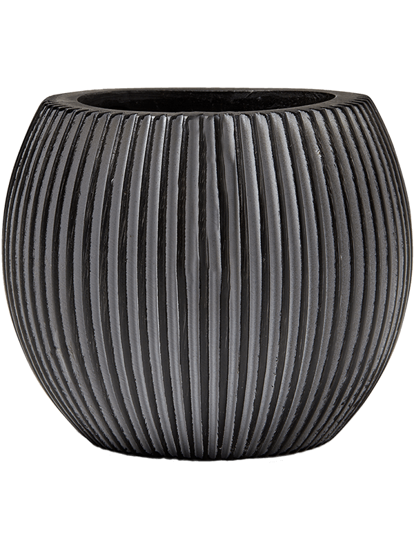
                  
                    Pot Capi Noir H15 Ø18 – 6CAPGZ102 – NATURA
                  
                