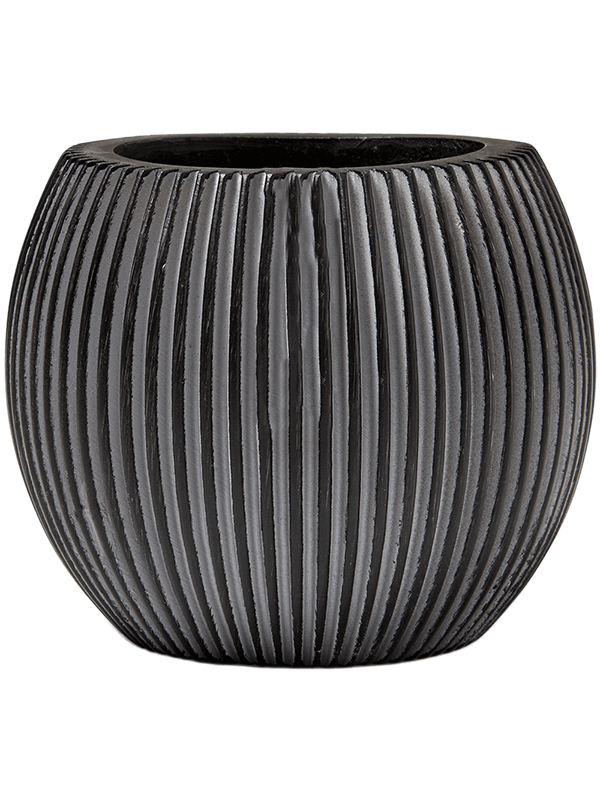 
                  
                    Pot Capi Noir H18 Ø22 – 6CAPGZ103 – NATURA
                  
                