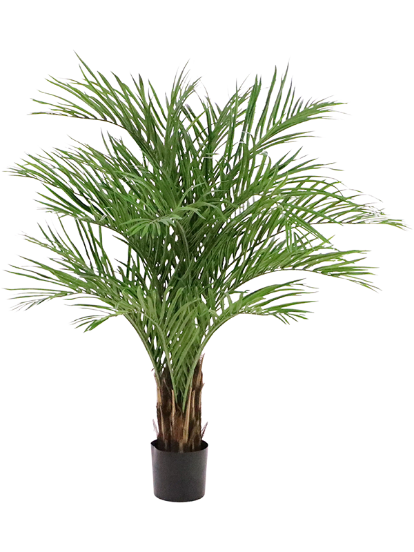 
                  
                    Palmier Dypsis Lutescens artificiel 150 cm, touffe de palmes vertes fines et pot de base noir
                  
                
