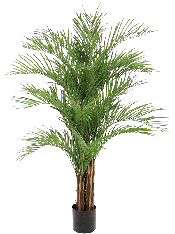 
                  
                    Palmier Dypsis Lutescens artificiel 210 cm, grande touffe de palmes vertes et pot de base noir
                  
                