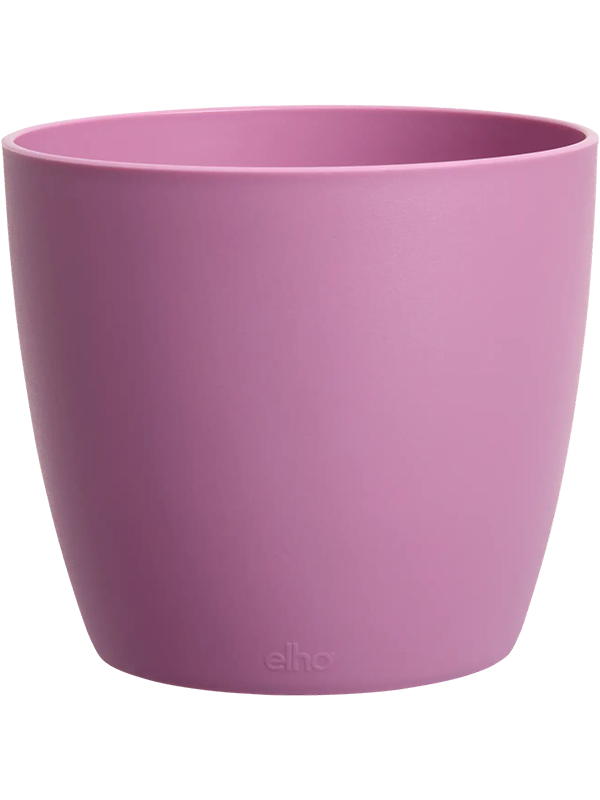 
                  
                    Mini pot Elho Brussels Violet Vivid H10 Ø11 – 6ELHBRM0V – NATURA
                  
                