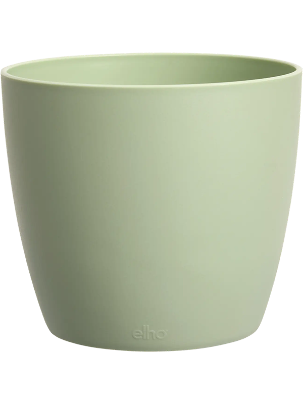 
                  
                    Mini pot Elho Brussels Vert Sorbet H9 Ø10 – 6ELHBRM9G – NATURA
                  
                