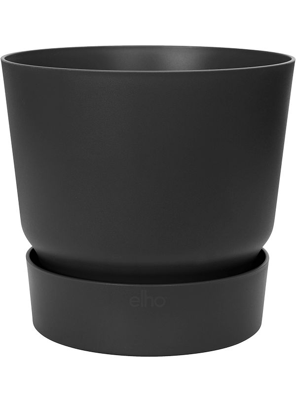 
                  
                    Pot Elho Greenville Rond Noir Living H13 Ø14 – 6ELHGR146 – NATURA
                  
                