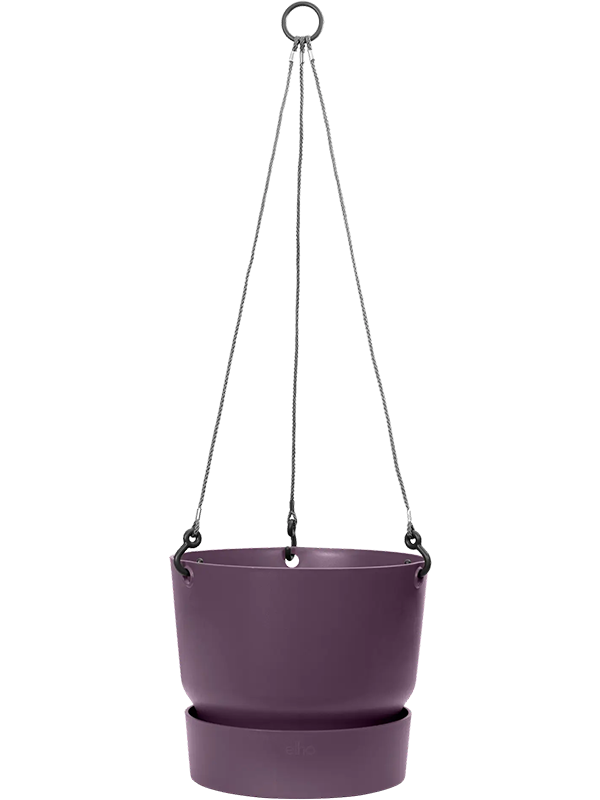 Pot suspendu Elho Greenville Prune Vintage H21 Ø24 – 6ELHGR241 – NATURA