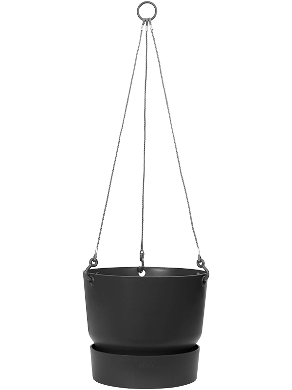 
                  
                    Pot suspendu Elho Greenville Noir Living H21 Ø24 – 6ELHGR246 – NATURA
                  
                