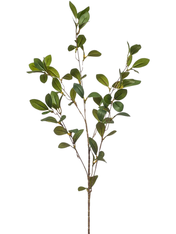 
                  
                    Feuillage Ruscus artificiel vert 90 cm sur fond blanc — 8EE432082
                  
                