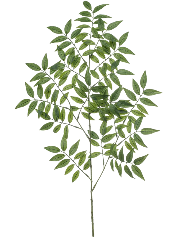
                  
                    Feuillage Ruscus artificiel vert 95 cm sur fond blanc — 8EE433564
                  
                