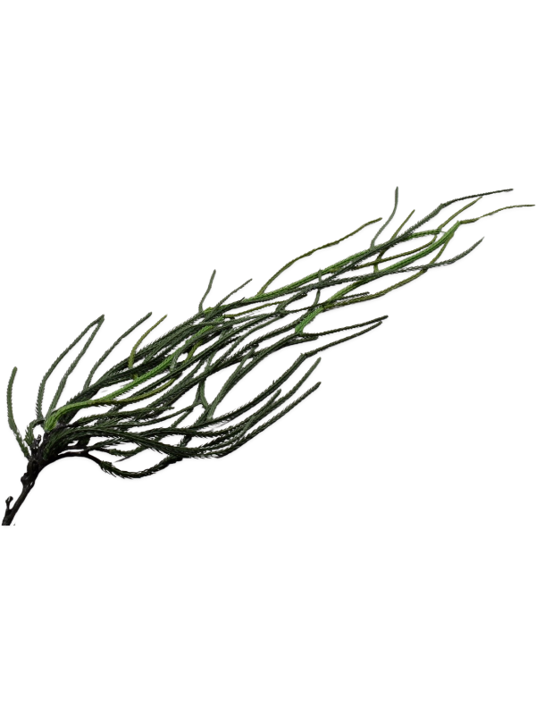 
                  
                    Feuillage filiforme Silk-ka artificiel ignifugé, vert, 99 cm, sur fond blanc — 8SK156472
                  
                