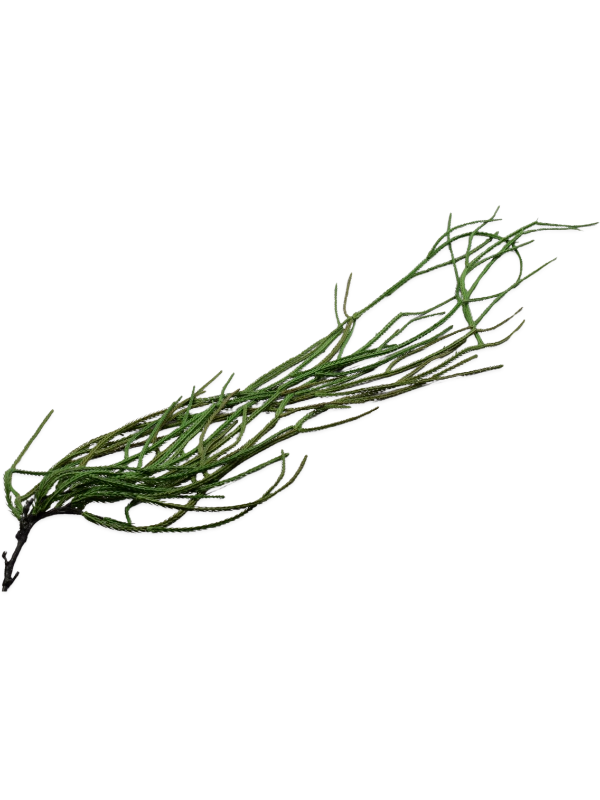 
                  
                    Feuillage filiforme Silk-ka artificiel ignifugé, vert, 134 cm, sur fond blanc — 8SK156474
                  
                