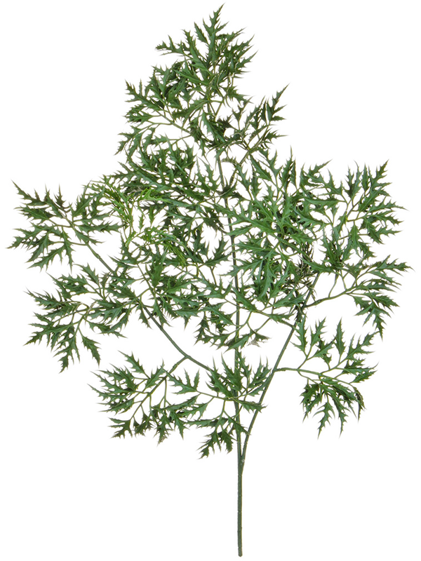 
                  
                    Feuillage Ming Aralia artificiel vert sur fond blanc — 8TRLC1612
                  
                