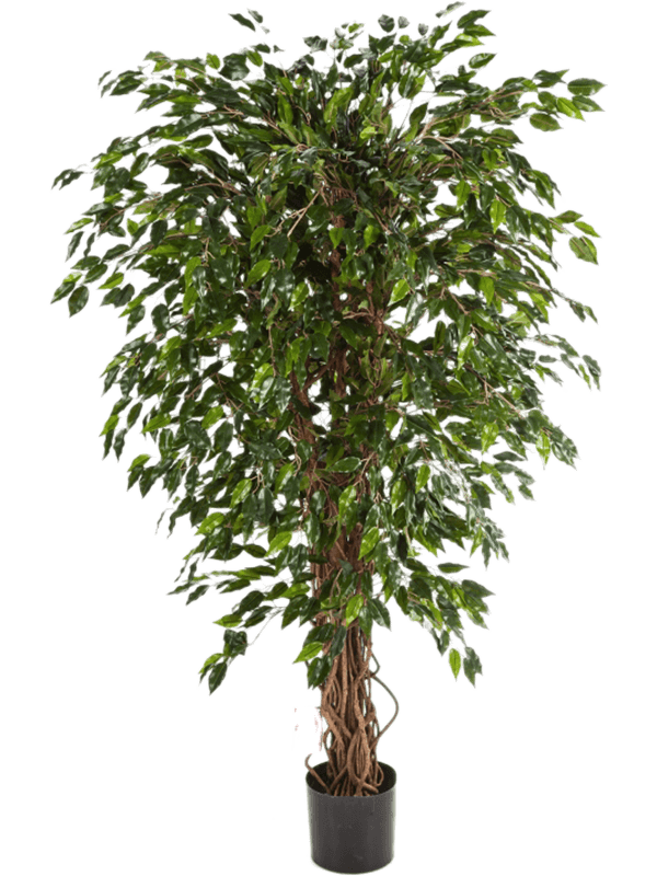 
                  
                    Ficus Hawaiian Liana artificiel, 90 cm, vert, référence 8FW30903N
                  
                