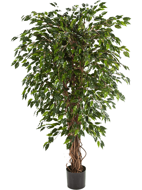 
                  
                    Ficus Hawaiian Liana artificiel, 150 cm, vert, référence 8FW30905N
                  
                