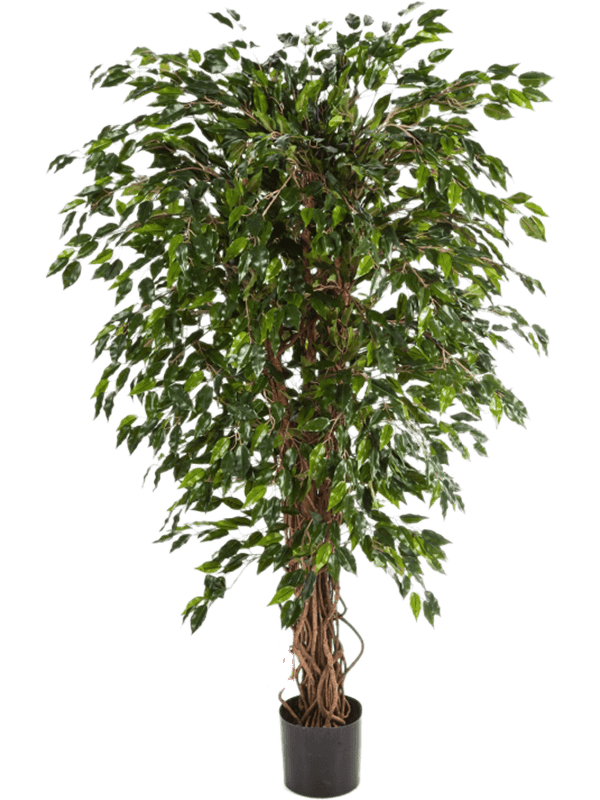 
                  
                    Ficus Hawaiian Liana artificiel, 180 cm, vert, référence 8FW30906N
                  
                