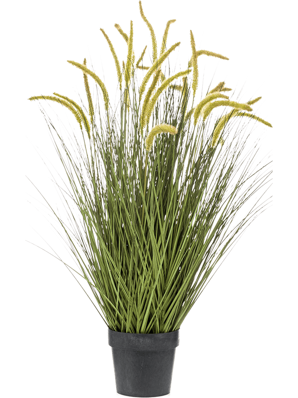 
                  
                    Graminée Cattail artificielle 100 cm, feuillage fin vert et épis jaune-vert, pot de base noir — 8EE422236
                  
                