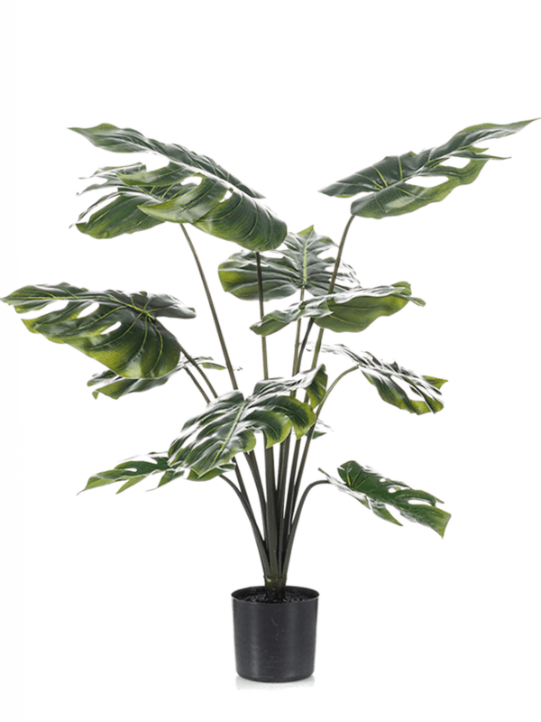 
                  
                    Monstera artificiel 80 cm, feuillage vert découpé et nervuré en touffe, pot de base noir — 8EE422158
                  
                