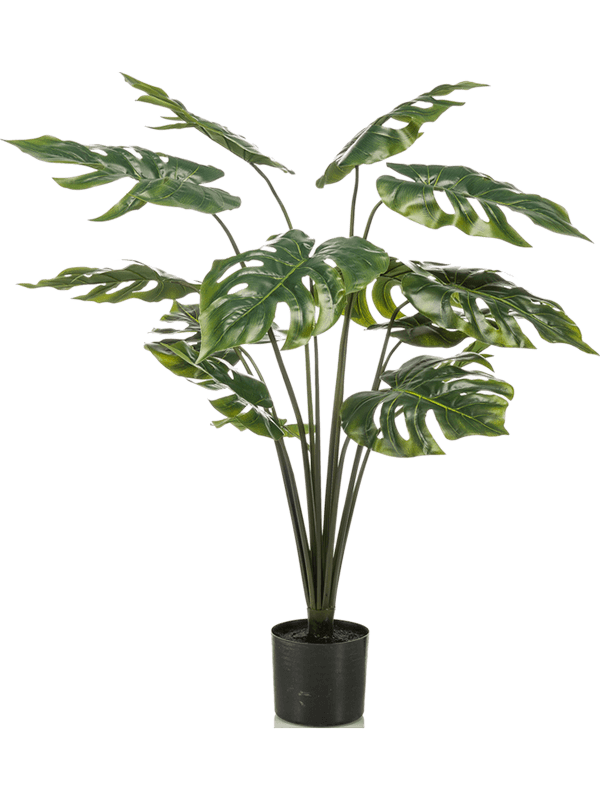 
                  
                    Monstera artificiel 95 cm, feuillage vert découpé et nervuré en touffe, pot de base noir — 8EE422374
                  
                