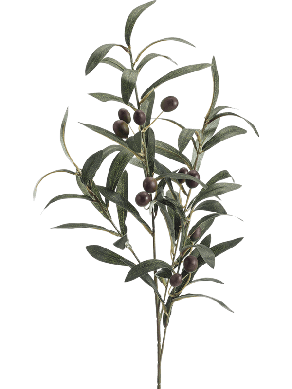 
                  
                    Branche d’olivier artificielle vert grisé à olives rondes — Hauteur: 75 Largeur: 17 cm — 8EE421383
                  
                