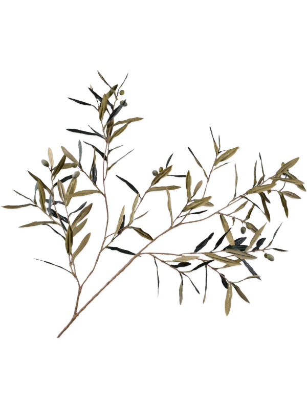 
                  
                    Branche d’olivier artificielle à olives vert olive ignifugée Silk-ka — Longueur: 123 cm — 8SK154600
                  
                