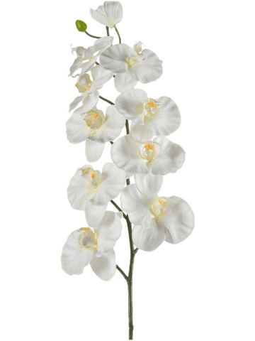 Orchidée Phalaenopsis artificielle blanc crème 100 cm