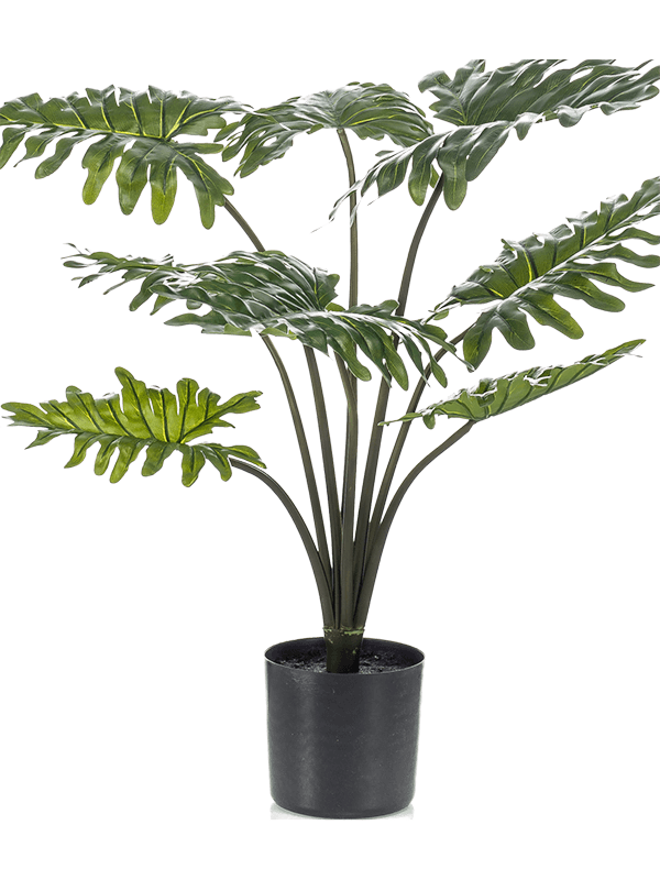
                  
                    Philodendron artificiel 80 cm, feuilles vertes profondément lobées sur tiges dressées, pot de base noir — 8EE422243
                  
                