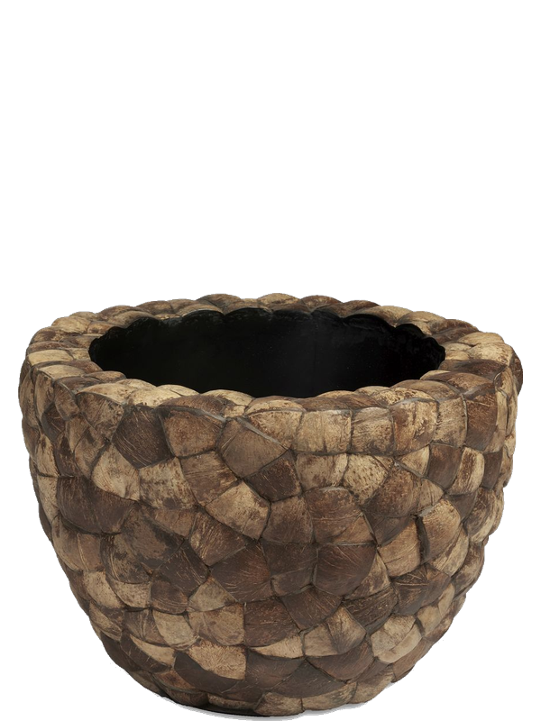 
                  
                    Pot Plantinum Bowl Plus Coconut – H40 Ø55 cm – 6BOSA5325
                  
                
