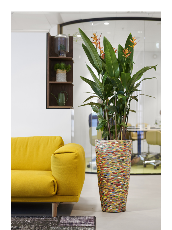 
                  
                    Pot Plantinum Caribbean Vase multicolore H90 Ø46.5 – 6CARA0391
                  
                