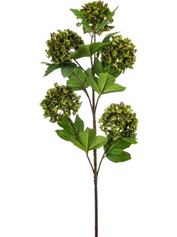 Tige de viburnum artificielle verte avec fleurs en bouquets arrondis, 77 cm, sans vase — 8EE436611