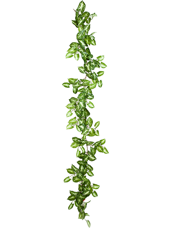 Nepthytis Guirlande artificielle à feuilles vertes panachées de crème, présentée en retombée