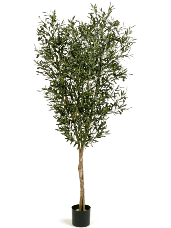 
                  
                    Olivier artificiel ramifié compact 120 cm, vert, pot 13/12 cm — 8FW28004N
                  
                