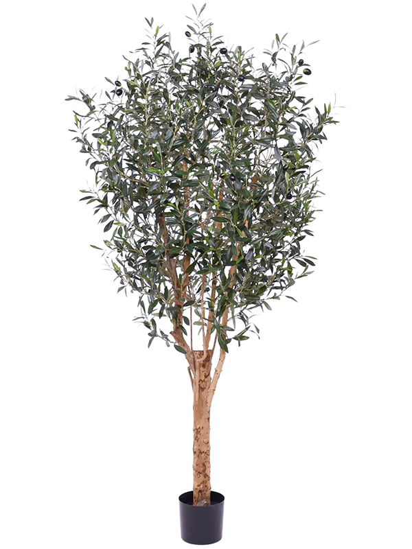 
                  
                    Olivier Deluxe artificiel 185 cm, feuillage vert, pot 17/15 cm — 8DP135118
                  
                