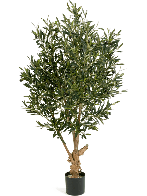 
                  
                    Olivier élancé artificiel 120 cm, feuillage vert, pot 13/12 cm — 8FW28204N
                  
                