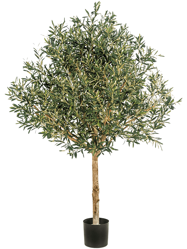 
                  
                    Olivier Topiary artificiel 150 cm, vert — 8FW027605
                  
                