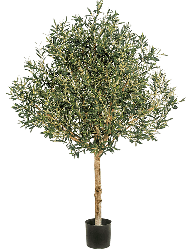 
                  
                    Olivier Topiary artificiel 210 cm, vert — 8FW27607N
                  
                