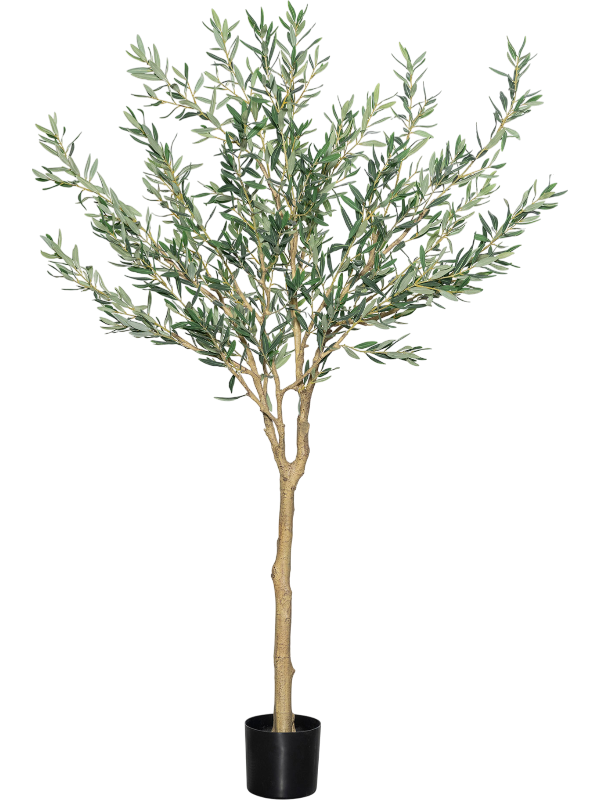 
                  
                    Olivier Tree artificiel Pottery Pots 180 cm, vert — 8PPZ10312
                  
                