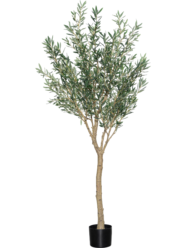 
                  
                    Olivier Tree artificiel Pottery Pots 240 cm, vert — 8PPZ10313
                  
                