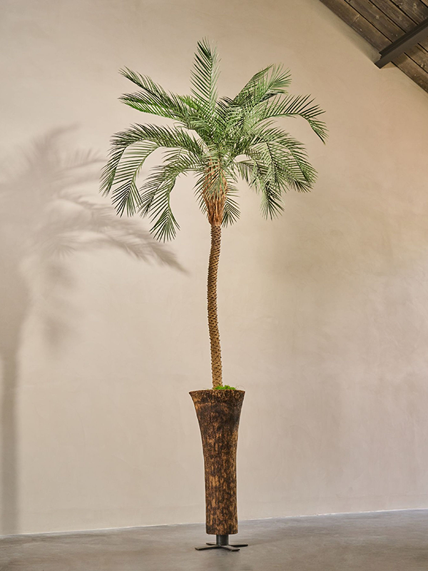 
                  
                    Palmier artificiel Silk-ka de 213 cm en intérieur, contenant décoratif et support vendus séparément
                  
                