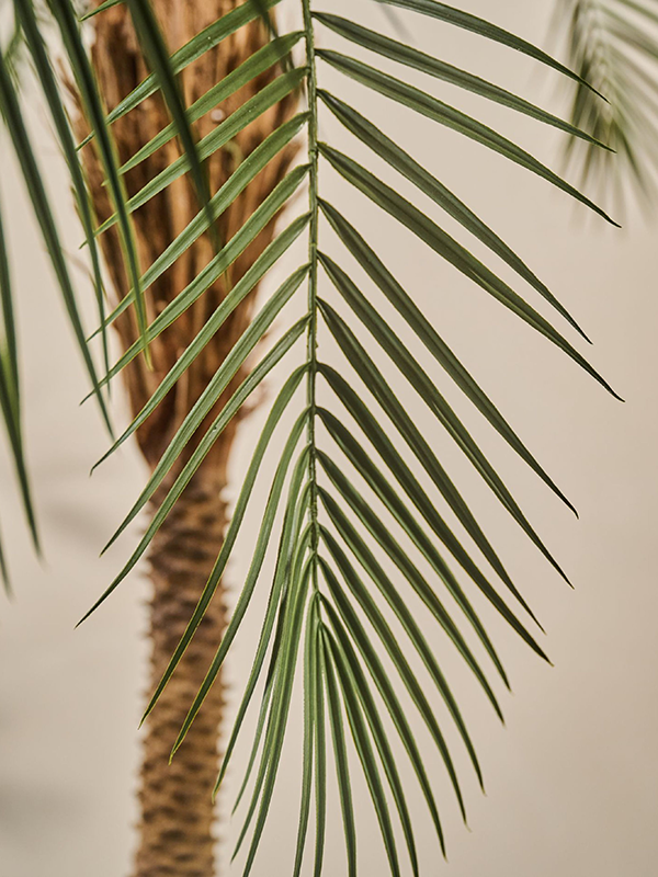 
                  
                    Détail d’une palme du palmier artificiel Silk-ka sur tronc de 213 cm
                  
                