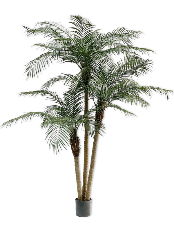 
                  
                    Palmier Phoenix artificiel Silk-ka de 183 cm, plusieurs troncs et palmes étagées, avec pot de base
                  
                
