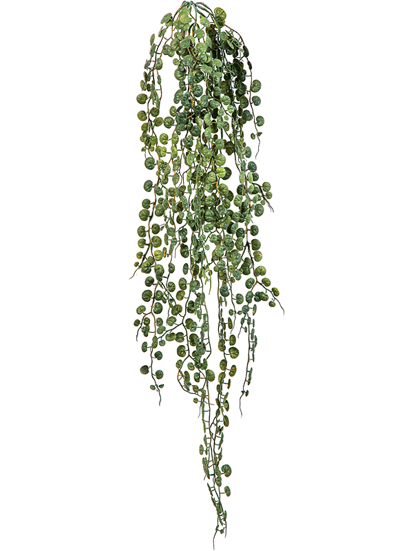 Peperomia Serpens retombant artificiel à petites feuilles vertes arrondies, sans pot, référence 8FW01415N