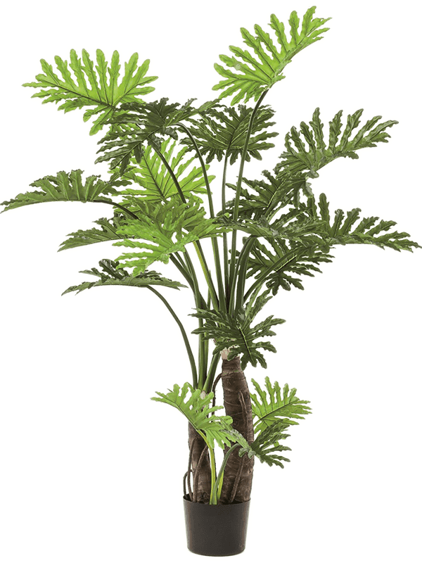 
                  
                    Philodendron Selloum Buisson artificiel 180 cm, feuillage découpé et axes apparents
                  
                